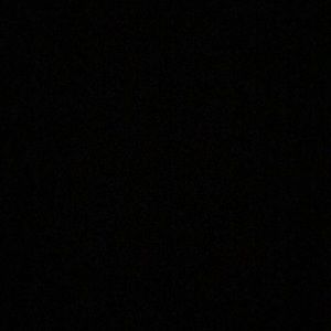 Meet your Posher, Carmen